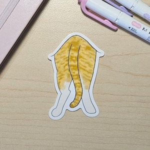 Hidden die-cut vinyl sticker - waterproof - cat - silly