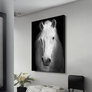 Elegant White Horse Portrait Canvas – Unique Farmhouse Wall Art, Rustic Barn Animal Decor, Perfect Gift for Country & Horse Lovers