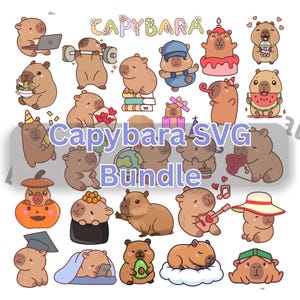 Op de afbeelding: Een verzameling cartoon capibara-illustraties in verschillende poses. Sommige capibara's worden afgebeeld met een laptop, gewichten heffen, een hoed dragen, eten en objecten vasthouden. De tekst "Capybara SVG Bundle" is ook aanwezig.