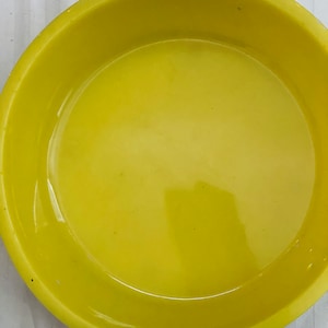 May include: A bright yellow, round dish with a slightly raised rim. The dish has a smooth, glossy finish and appears to be made of ceramic or a similar material. The dish is empty and sits on a white surface.