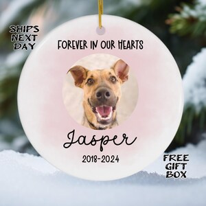 Pet Memorial Photo Ornament, Personalized Dog Cat Dog Memory Christmas Ornament, Custom Pet Memorial Picture Keepsake, Portrait Gift ON675