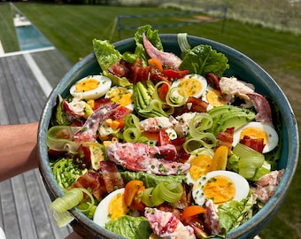 Favorite Summer Dishes vol.1 Recipes Download