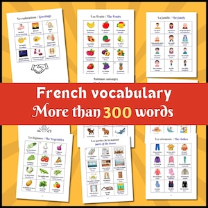 May include: A set of educational flashcards with French vocabulary, including greetings, fruits, family members, vegetables, parts of the house, and clothing. The cards feature colorful illustrations and French text. The title reads "French vocabulary More than 300 words."