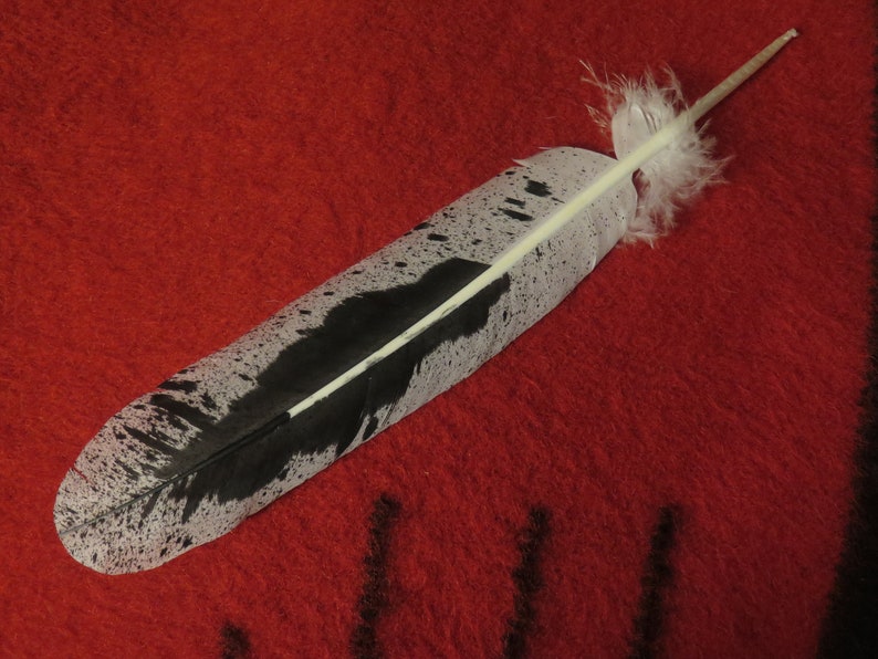 Native American Made Hand Painted Immature Bald Eagle Feather - Etsy