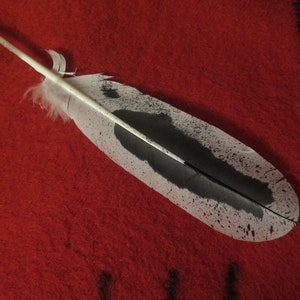 Native American Made Hand Painted Immature Bald Eagle Feather - Etsy