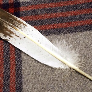 Native American Immature Golden Eagle Hand-painted Feather - Etsy