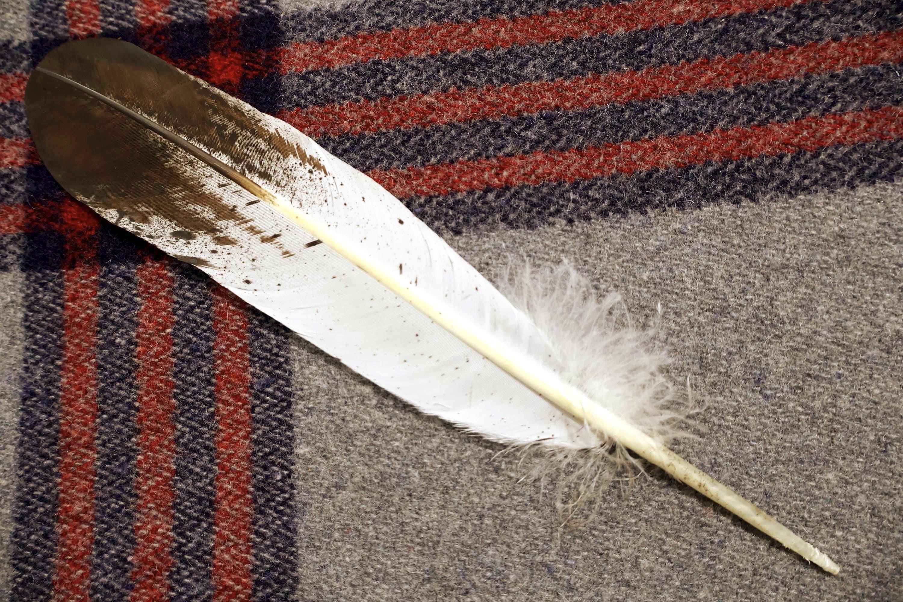 Native American Immature Golden Eagle Hand-painted Feather - Etsy