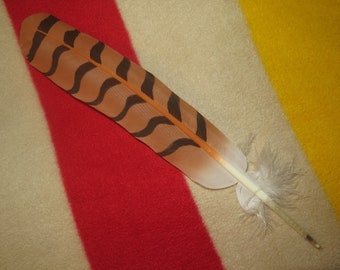 Native Americans made Red-Tailed Hawk painted Feather, the Red-Tailed Hawk is viewed as a protector and a spiritual messenger