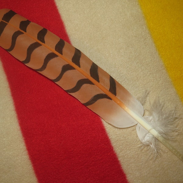 Native Americans made Red-Tailed Hawk painted Feather, the Red-Tailed Hawk is viewed as a protector and a spiritual messenger