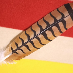 Native American Made Red Tailed Hawk Feather: Hand Painted