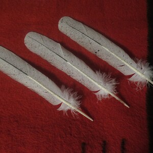 SALE Native American Bald Eagle Tail Feathers Hand Made and Simulated