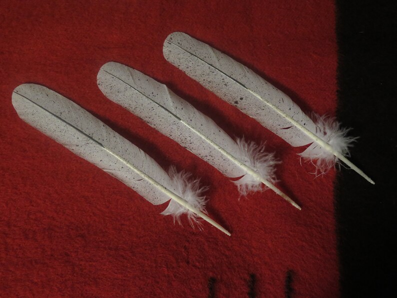 SALE Native American Bald Eagle Tail Feathers Hand Made and Simulated