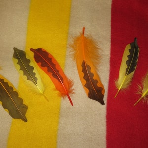 Puede incluir: Seis plumas coloridas con marcas marrones y amarillas sobre un fondo de tela a rayas. Las plumas están dispuestas en fila, con las puntas apuntando hacia la derecha.