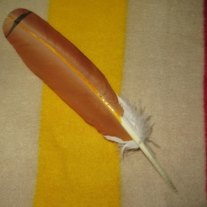 Può includere: Una piuma marrone con una punta bianca e una striscia gialla al centro. La piuma è appoggiata su uno sfondo di tessuto a righe.