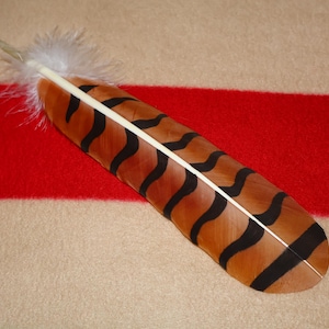 Piuma di falco dalla coda rossa dipinta a mano: protettore dei nativi americani