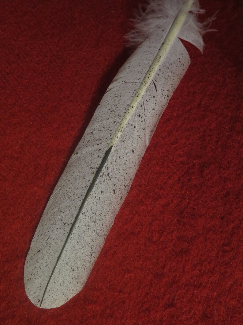 SALE Native American Bald Eagle Tail Feathers Hand Made and Simulated