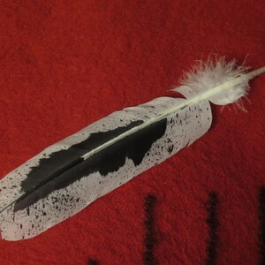 Native American Made Hand Painted Immature Bald Eagle Feather - Etsy