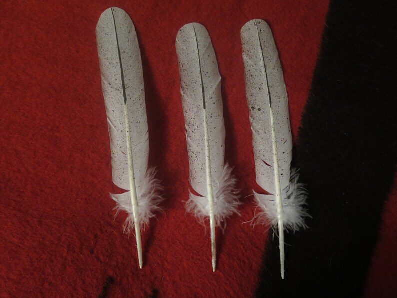 SALE Native American Bald Eagle Tail Feathers Hand Made and Simulated