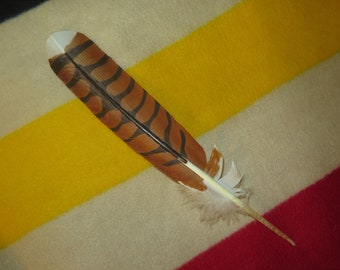Native American made, Red Tailed Hawk hand painted