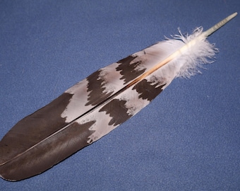 Pluma de águila real pintada a mano: réplica espiritual de una pluma de pavo (28-33 cm)