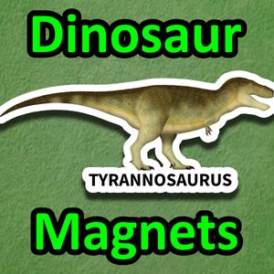 Tyrannosaurus dinosaur magnet
