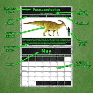 Infographic diagram of a 2027 dinosaur wall calendar page for May, highlighting educational features with green arrows. The layout includes a scientifically accurate paleoart illustration of a Parasaurolophus, a human scale comparison silhouette, the dinosaur name meaning, its prehistoric time period, fossil continent location, and a bite-sized educational lesson above a clean, high-contrast monthly calendar grid with holidays.