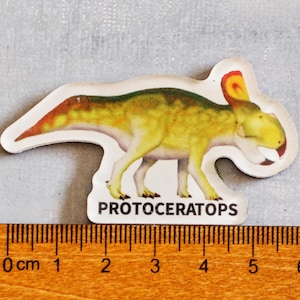 Dinosaur magnets