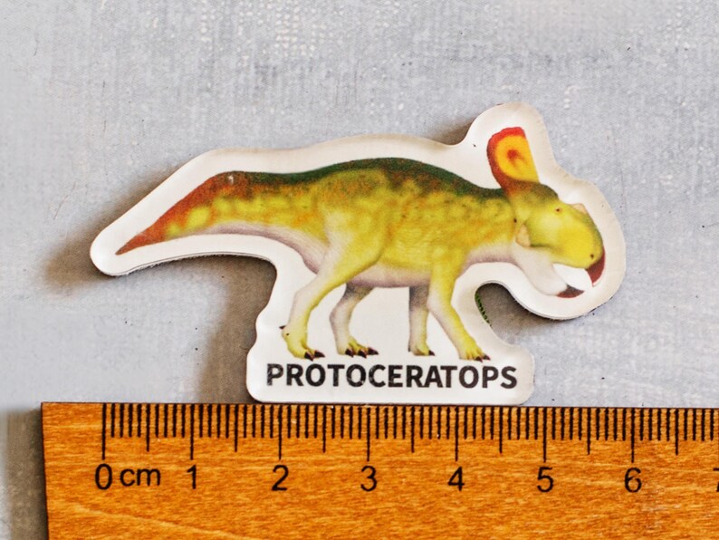 Dinosaur magnets