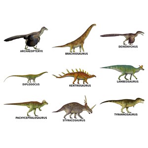 Realistic Dinosaur Magnets zdjęcie 3