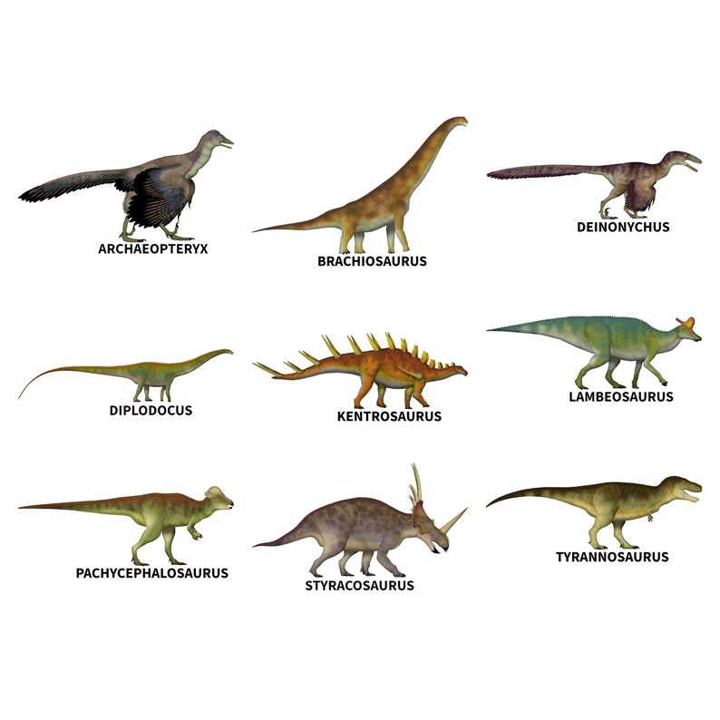 Aimants dinosaures réalistes image 3