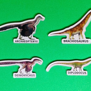 Realistic Dinosaur Magnets zdjęcie 2