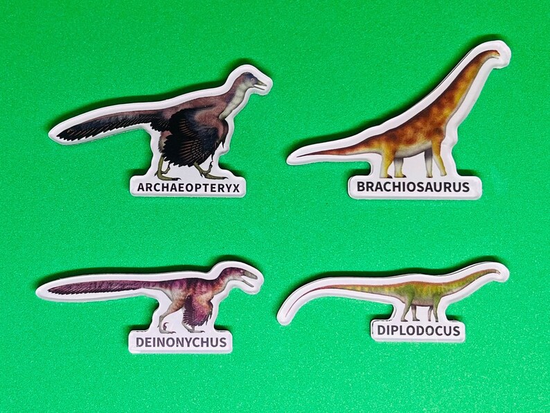 Realistic Dinosaur Magnets zdjęcie 2