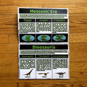 Bonus dinosaur lesson page included in the 2027 wall calendar