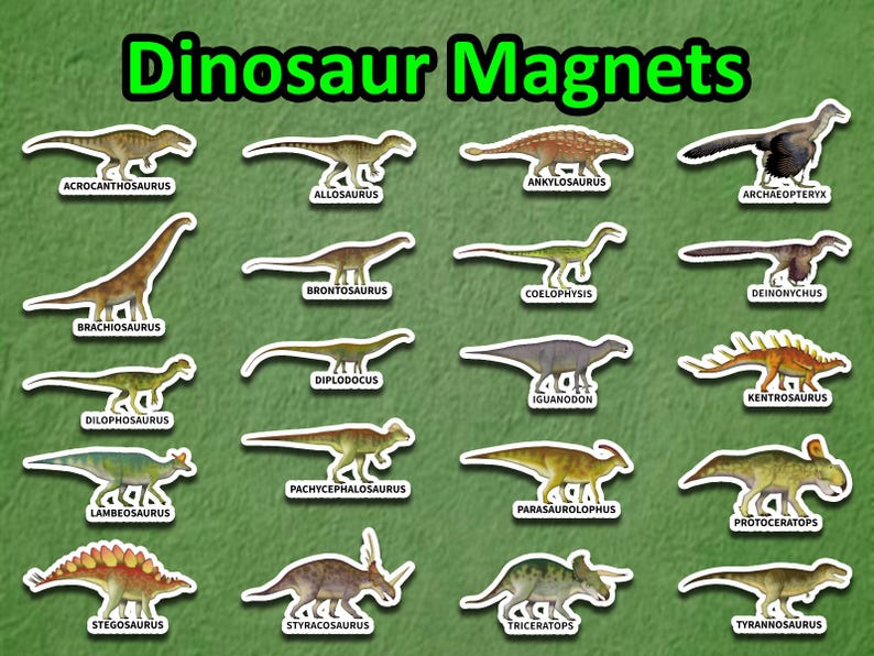 Dinosaur magnets