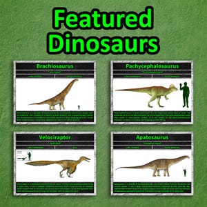 Sample of Total Dino's 2027 calendar featured dinosaurs, including Brachiosaurus, Pachycephalosaurus, Velociraptor, and Apatosaurus