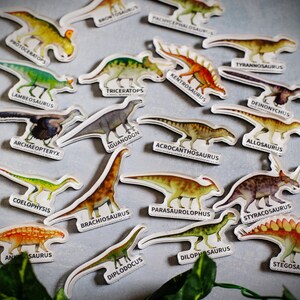 Dinosaur magnets