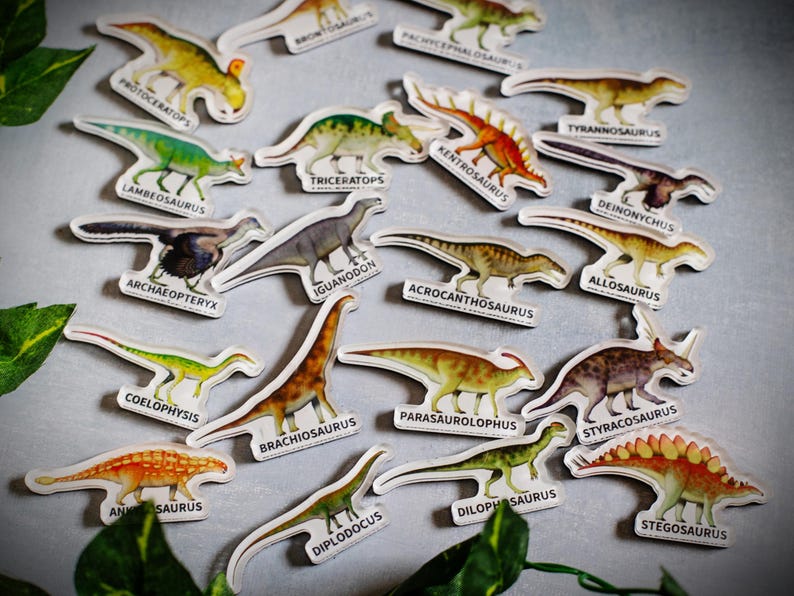 Dinosaur magnets