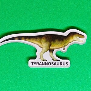 Realistic Dinosaur Magnets image 4