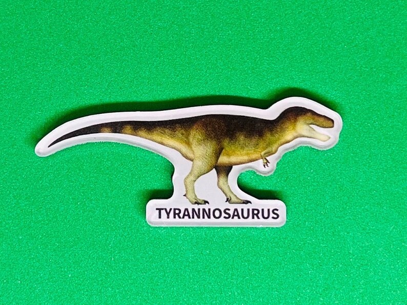 Realistic Dinosaur Magnets image 4
