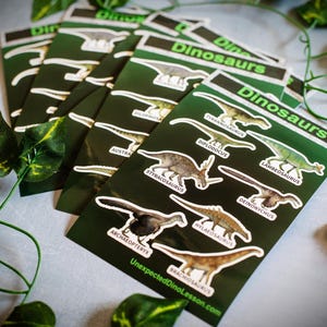 Juego de pegatinas de dinosaurios para niños: especies de dinosaurios que incluyen T-Rex y Brachiosaurus: perfecto para aprender.