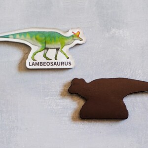 Dinosaur magnets