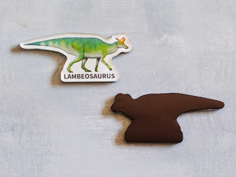 Dinosaur magnets