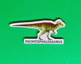 Pachycephalosaurus Magnet