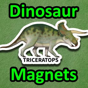 Triceratops dinosaur magnet