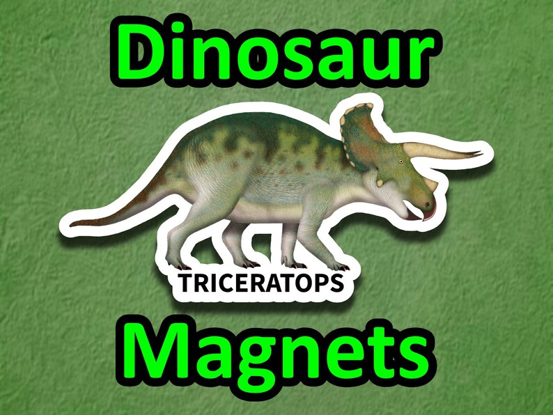 Triceratops dinosaur magnet