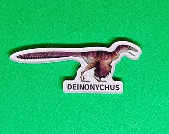 Deinonychus Magnet