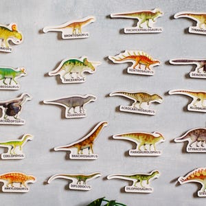 Dinosaurus koelkastmagneten