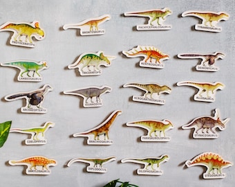 Dinosaur Refrigerator Magnets