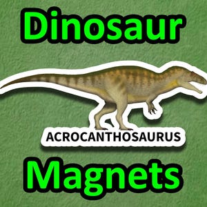 Acrocanthosaurus dinosaur magnet