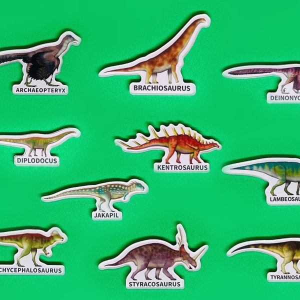 Realistic Dinosaur Magnets